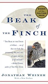 the beak of the finch