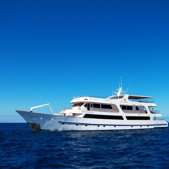 Odyssey Yacht galapagos