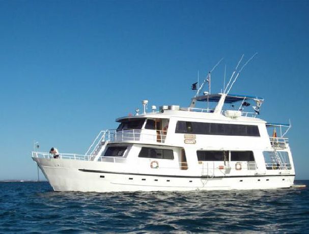 Fragata Galapagos