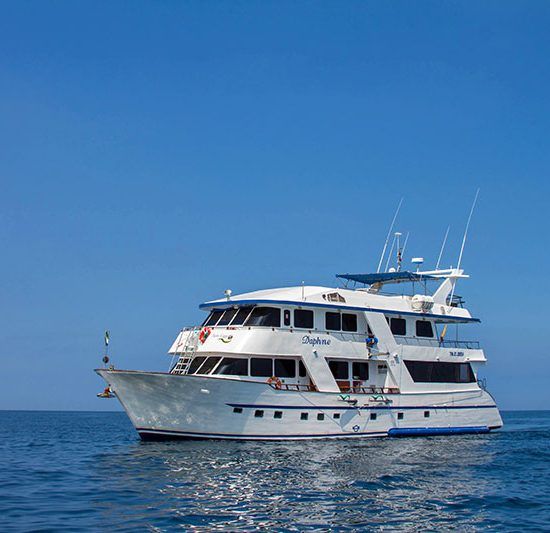 Daphne Yacht galapagos