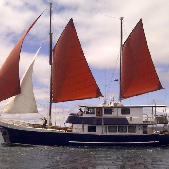 Samba yacht galapagos