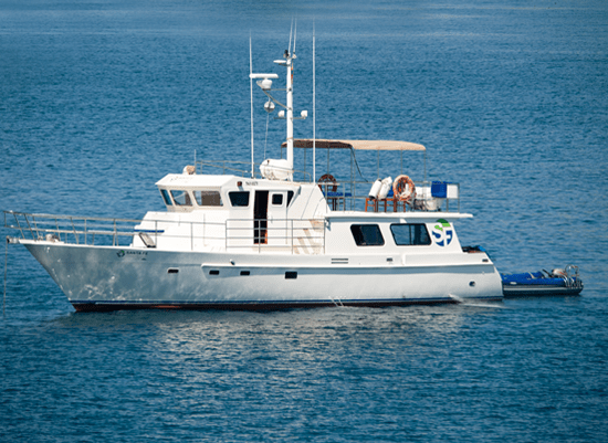 galapagos yacht 6